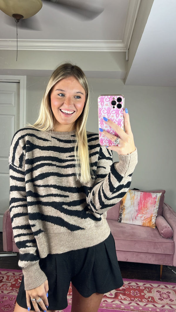 Neutral Zebra Sweater