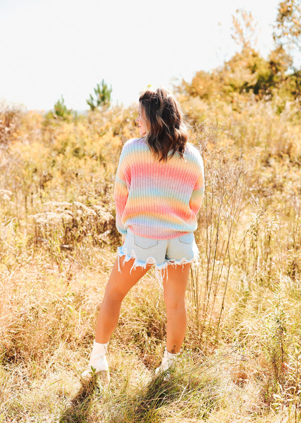 Multi Color Turtleneck Sweater